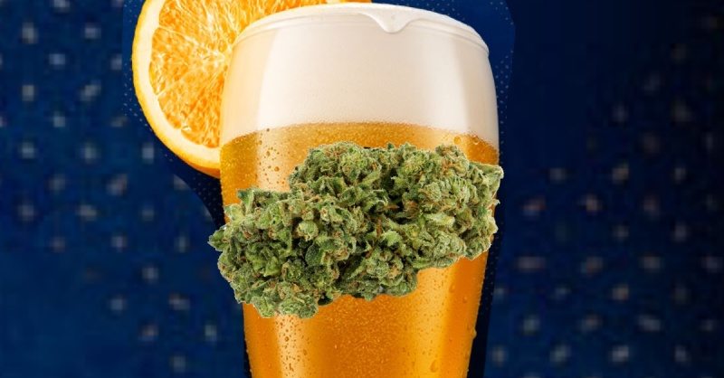 Marijuana-Infused Beer