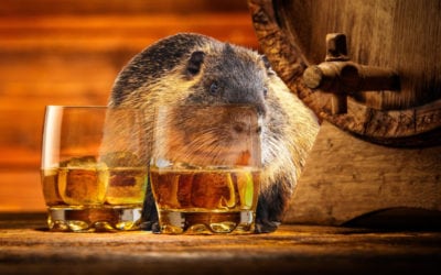 Beaver Flavored Bourbon