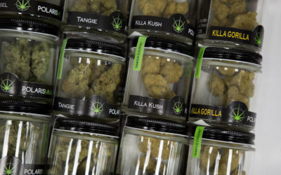Smoke And Mirrors: Vegas Weed Museum Has One Major Catch