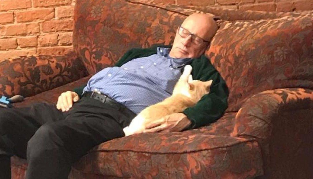 Think you have the best job ever? Meet A Professional Cat Napper