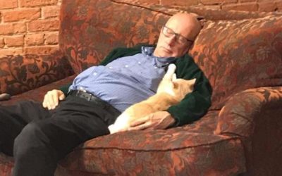 Think you have the best job ever? Meet A Professional Cat Napper