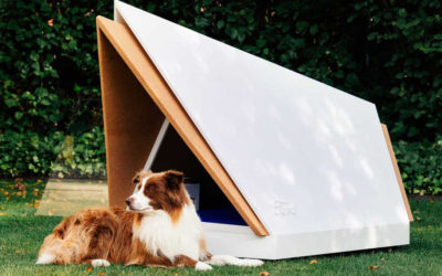 Ford to Develop Soundproof Dog House For Scared Pups