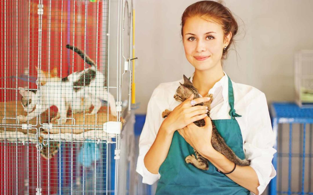 Among The Animals: The Best Jobs For Pet Lovers