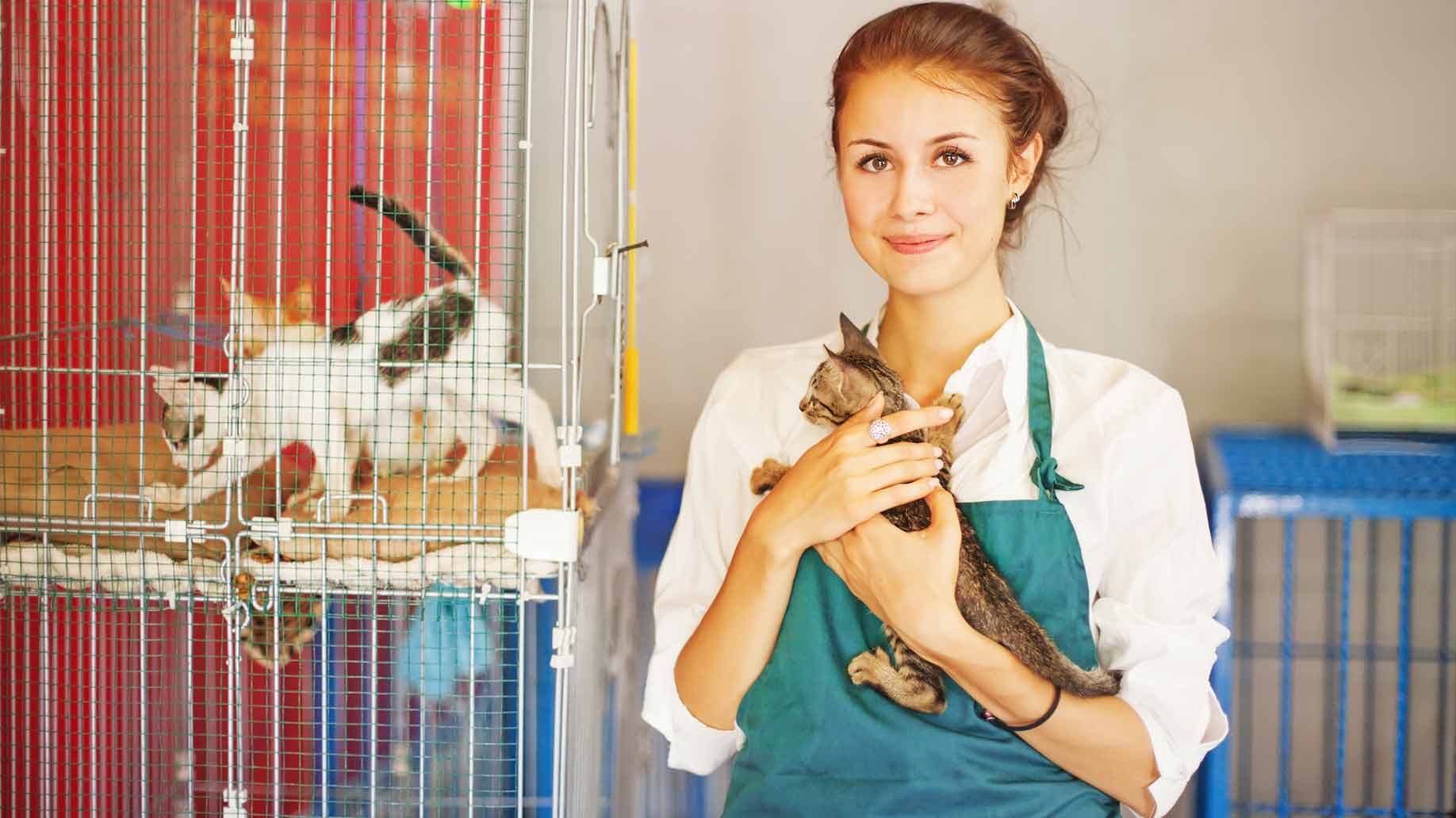 Among The Animals: The Best Jobs For Pet Lovers | BanmillerOnBusiness