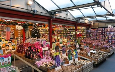 Bad Bulbs: The Big Scam Blooming in Amsterdam