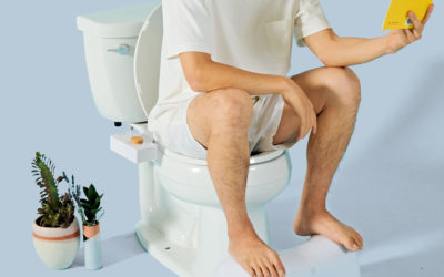 The Year of The Bidet